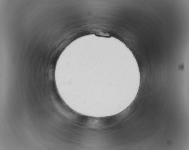 X0000113130174200910161141