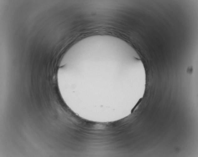 X0000113130176200910161141