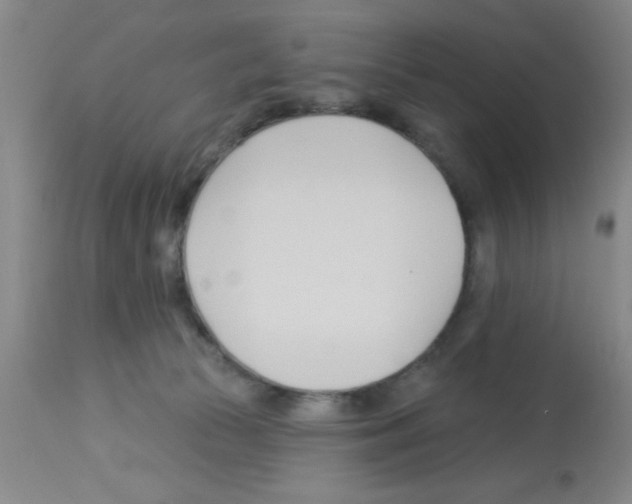 X0000113130177200910161141