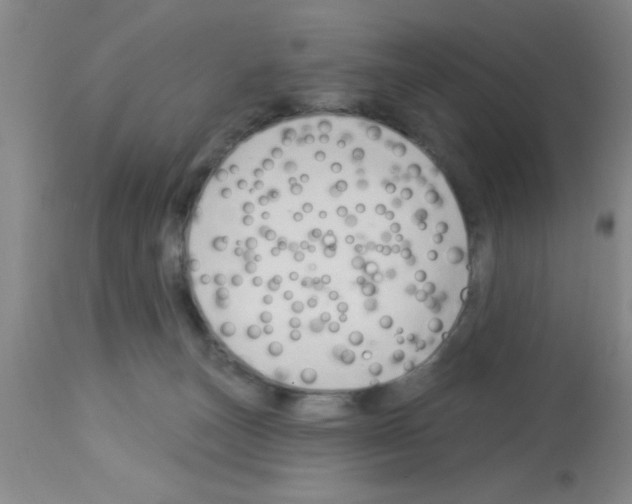 X0000113130179200910161141