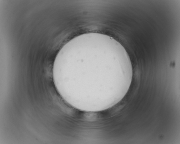 X0000113130181200910161141