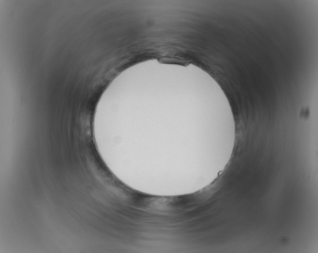 X0000113130182200910161141
