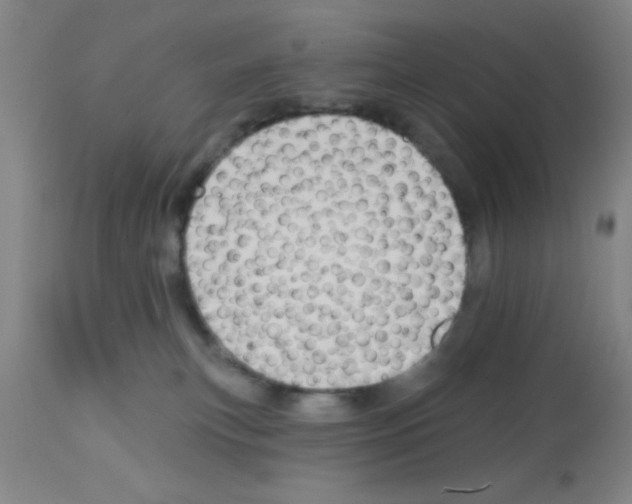 X0000113130183200910161141