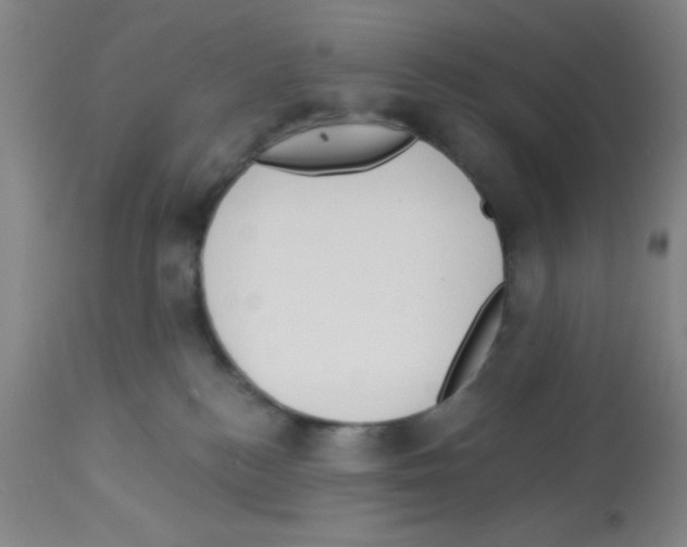 X0000113130184200910161141
