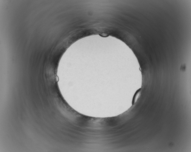 X0000113130186200910161141