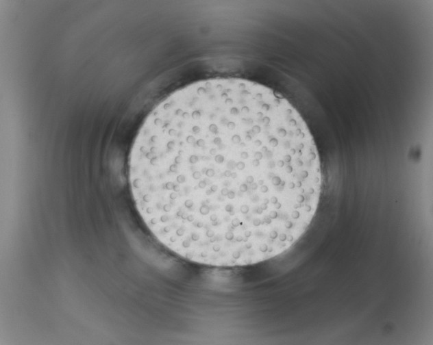 X0000113130187200910161141
