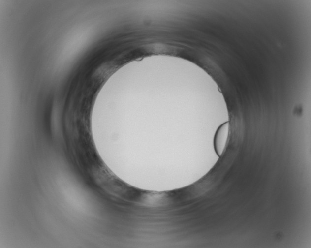 X0000113130189200910161141