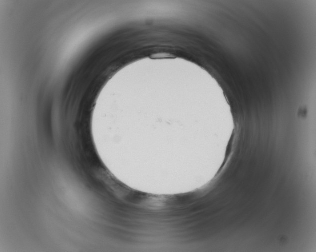 X0000113130190200910161141