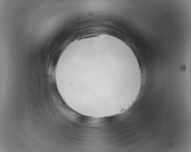 X0000113130191200910161141