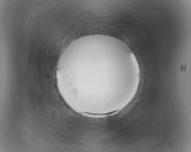 X0000113130192200910161141