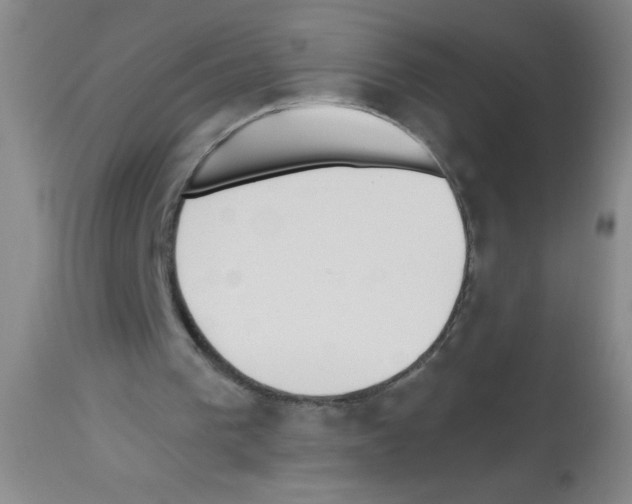 X0000113130193200910161141