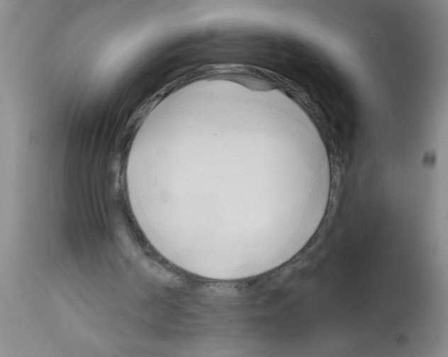 X0000113130194200910161141