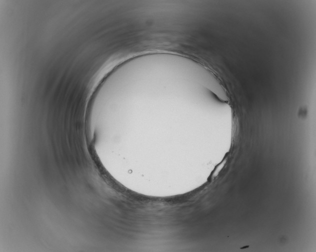 X0000113130195200910161140
