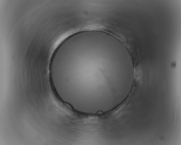 X0000113130196200910161140