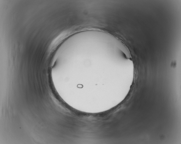 X0000113130197200910161140