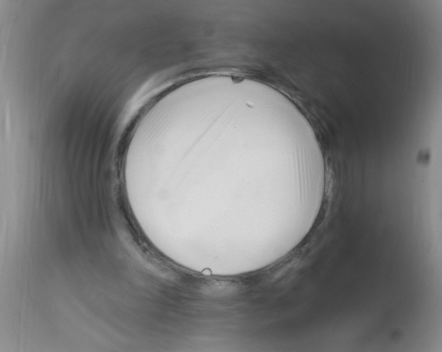 X0000113130198200910161140