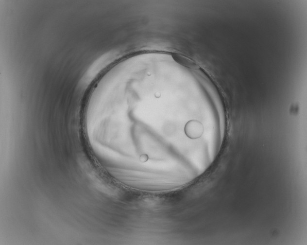 X0000113130199200910161140