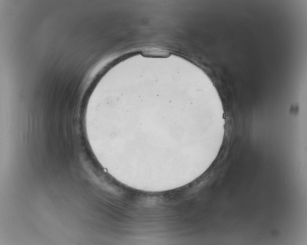 X0000113130200200910161140