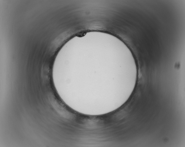 X0000113130201200910161140