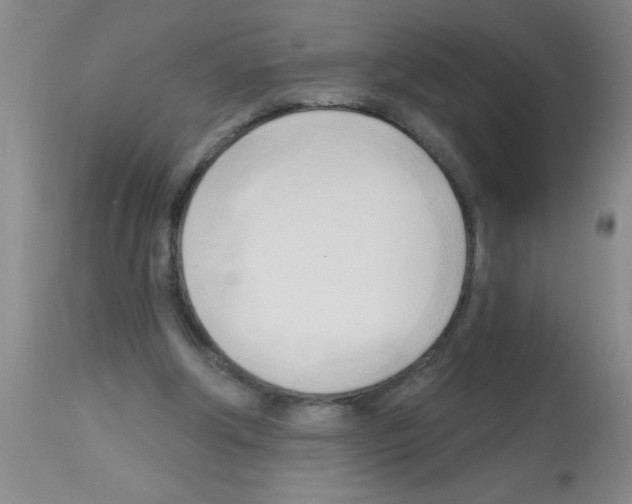 X0000113130202200910161140