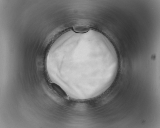 X0000113130203200910161140