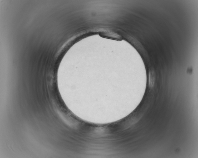 X0000113130204200910161140