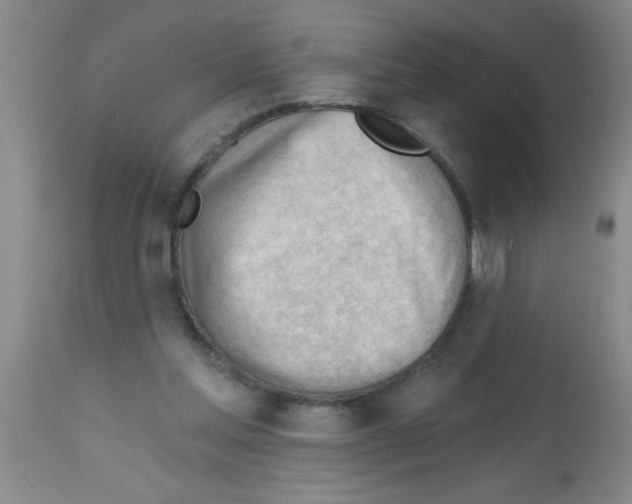X0000113130205200910161140