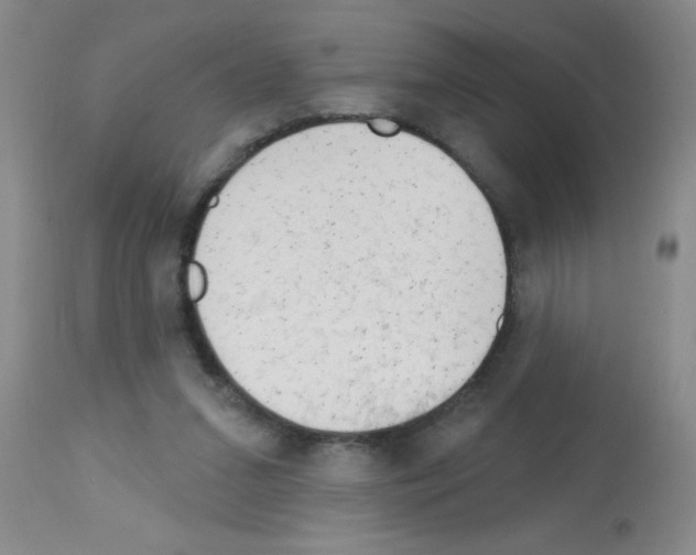 X0000113130207200910161140