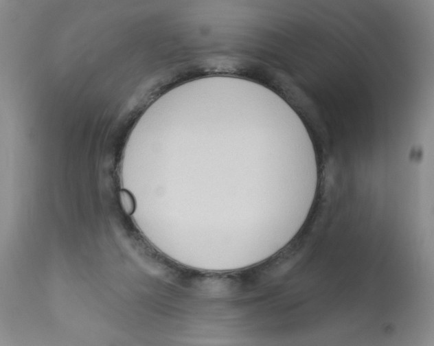 X0000113130209200910161140
