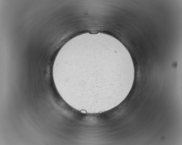 X0000113130211200910161140