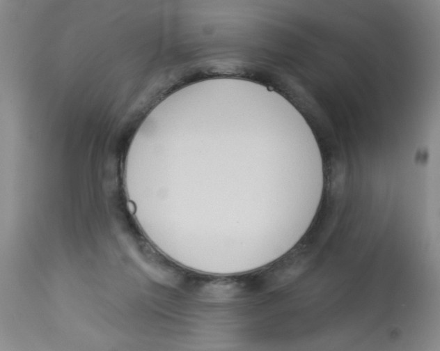 X0000113130213200910161140