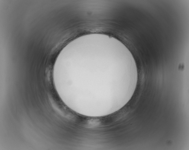 X0000113130214200910161140