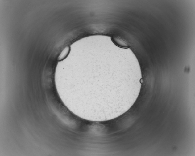 X0000113130215200910161140