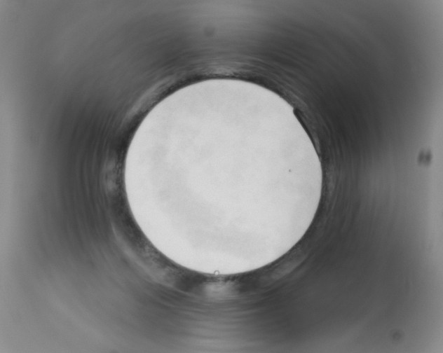 X0000113130216200910161140