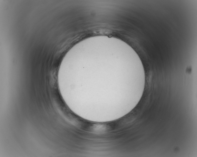 X0000113130218200910161140