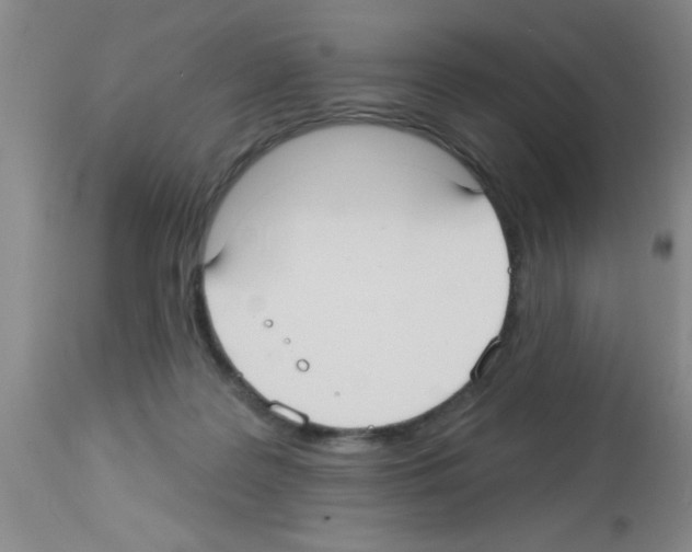 X0000113130219200910161140