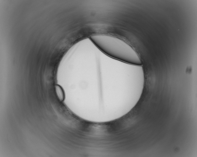 X0000113130221200910161140