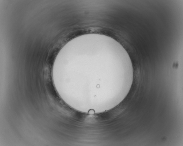 X0000113130222200910161140