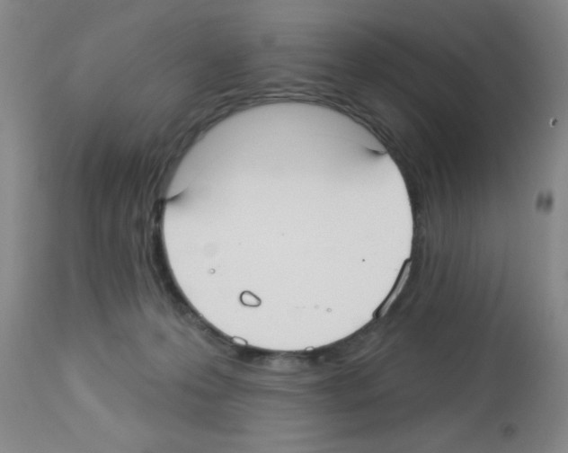 X0000113130223200910161140