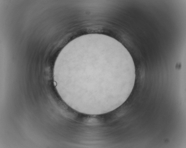 X0000113130224200910161140