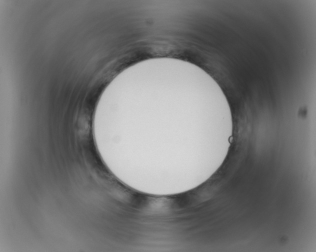 X0000113130226200910161140