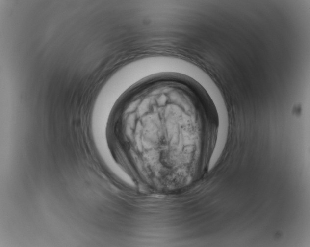 X0000113130227200910161140