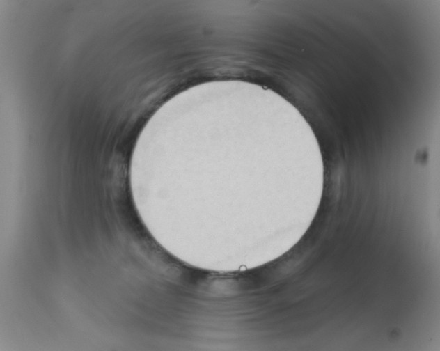 X0000113130228200910161140