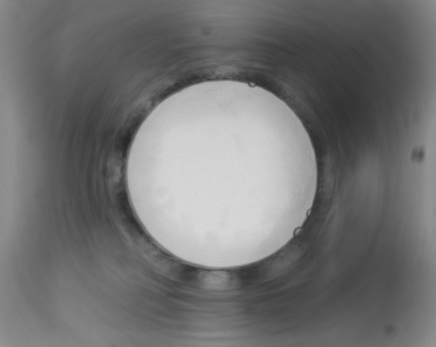 X0000113130230200910161140