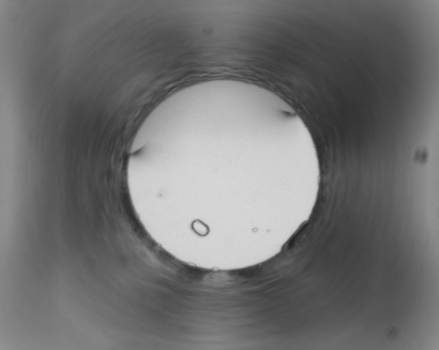 X0000113130231200910161140