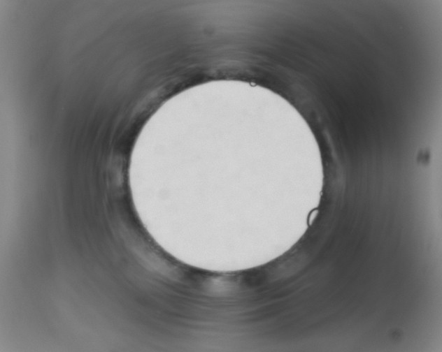 X0000113130232200910161140