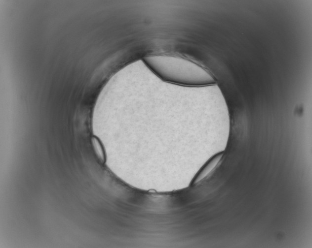 X0000113130233200910161140