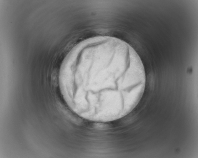 X0000113130234200910161140