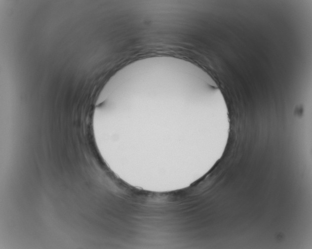 X0000113130235200910161140