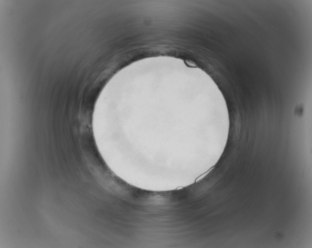 X0000113130236200910161140